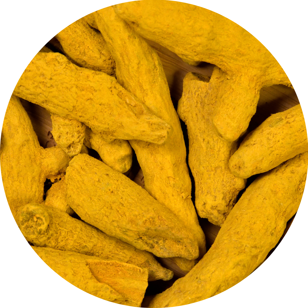 Turmeric