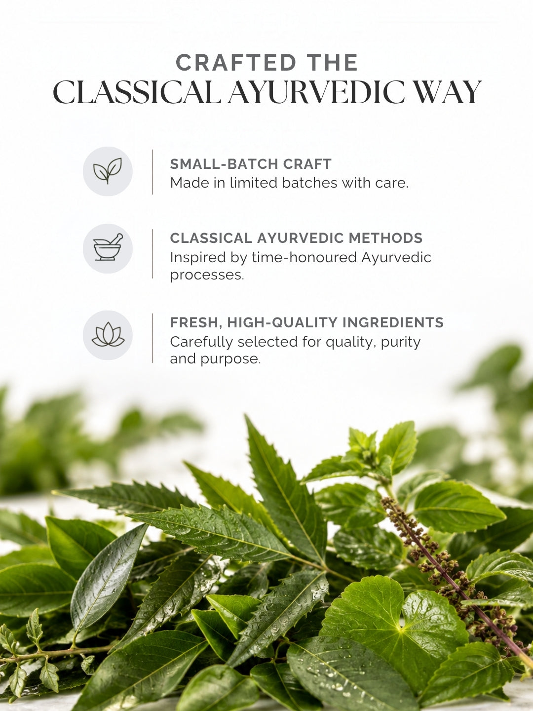 LipNectar: Ayurvedic Lip Balm -10g – lip balm by AyuVeda Glow, image 7