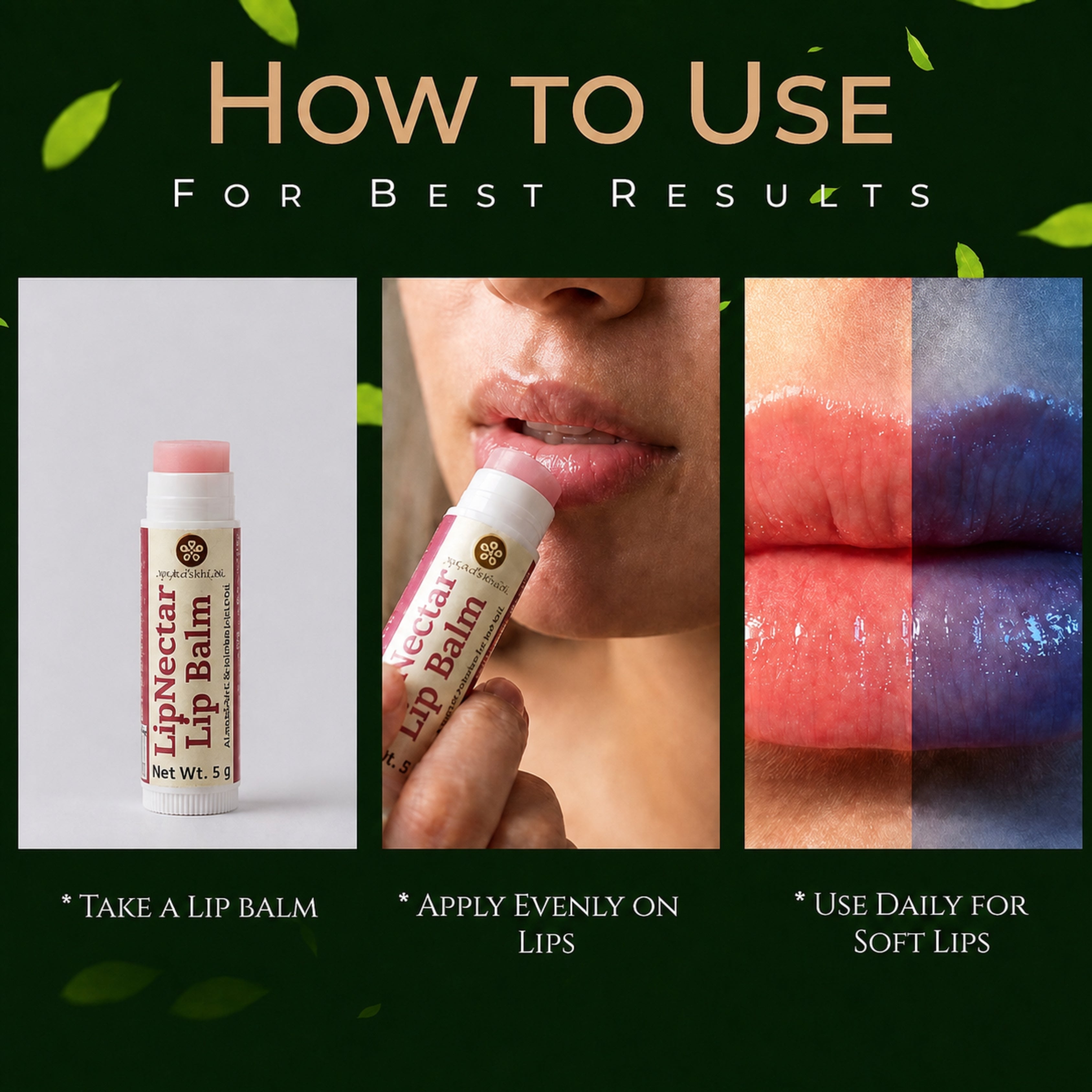 LipNectar: Ayurvedic Lip Balm -5g